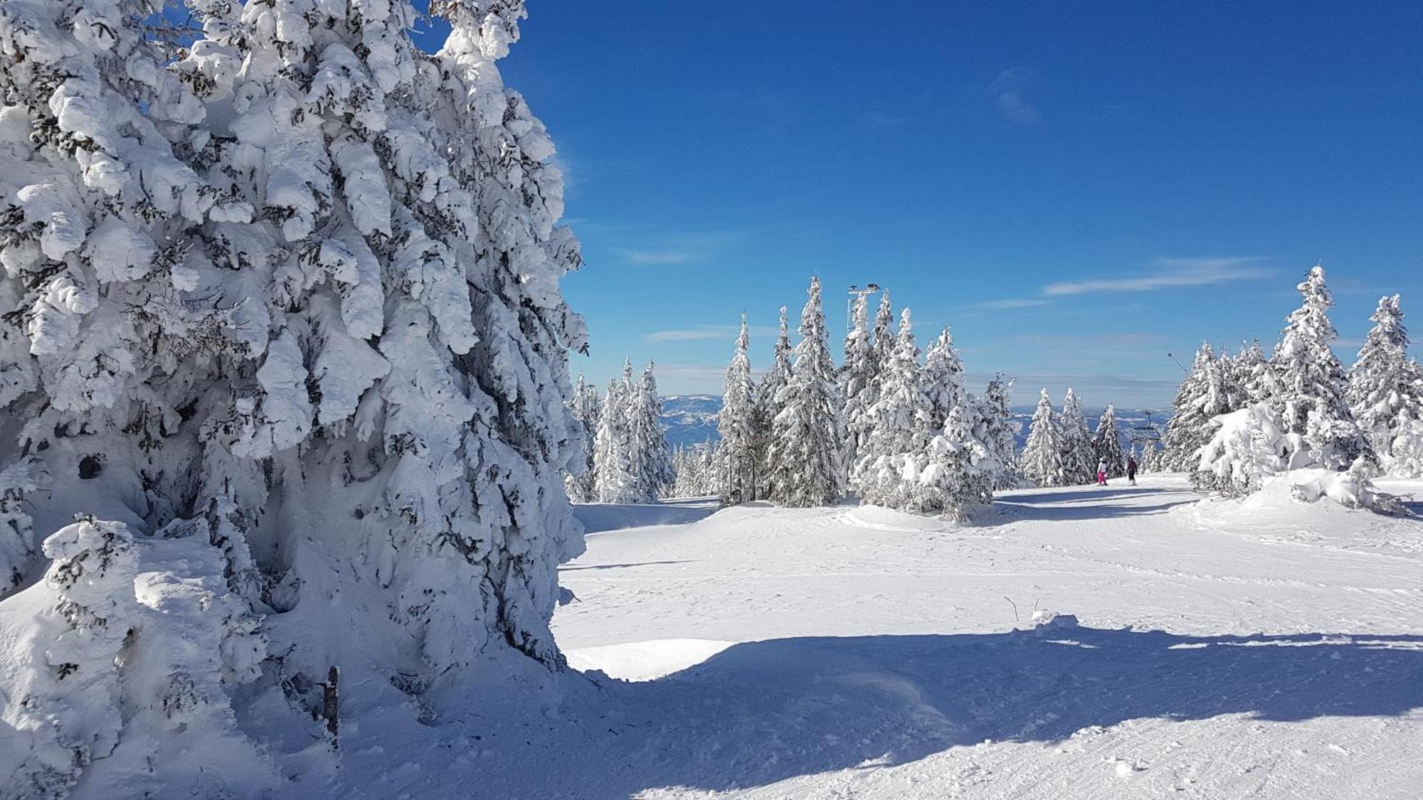 Marrilux Apartments Residence Hill Kopaonik Exteriér fotografie